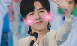 谁爆料了刘宇宁结婚视频,神秘伴侣身份引发热议