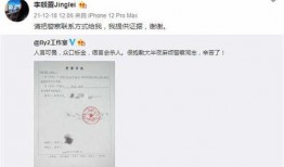 王力宏和孙雨的爆料视频